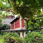 팜스테이 Quinta De Maderne 펠게이라스