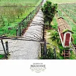 팜스테이 Quinta De Maderne 펠게이라스