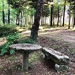 팜스테이 Quinta De Maderne 펠게이라스