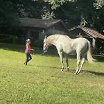 Quinta De Maderne *