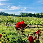 农家乐 Quinta De Maderne 费尔格拉斯