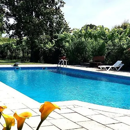 Farm stay Quinta De Maderne