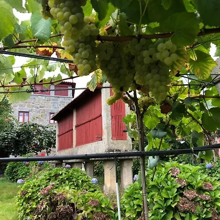 Farm stay Quinta De Maderne Felgueiras