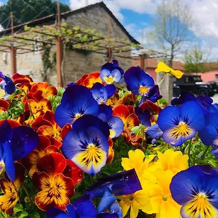 Quinta De Maderne * 펠게이라스