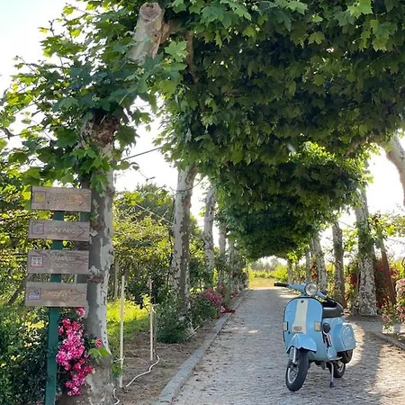 Quinta De Maderne ファームステイ *