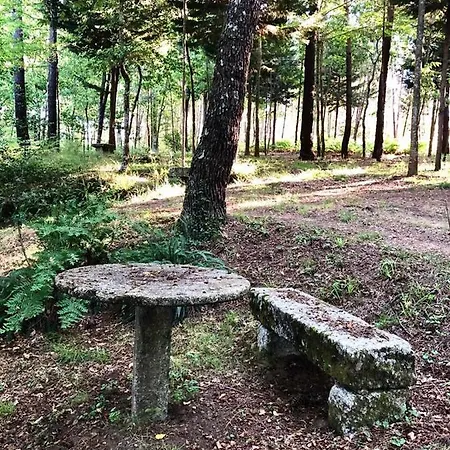 팜스테이 Quinta De Maderne 펠게이라스