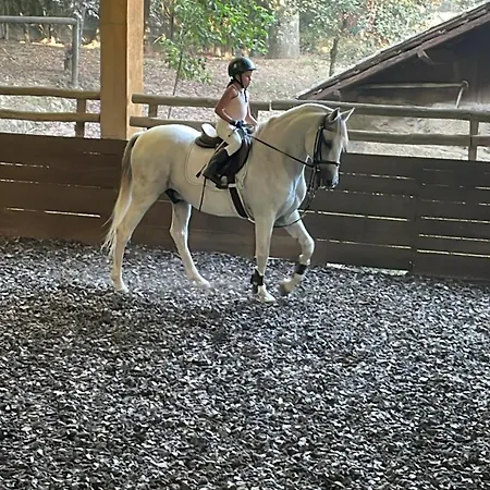 Quinta De Maderne Bauernhof Felgueiras