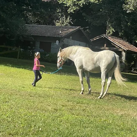 Quinta De Maderne *