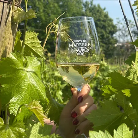 Фермерский дом Quinta De Maderne Фелгейраш