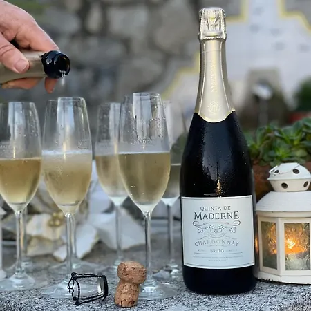 Quinta De Maderne 费尔格拉斯
