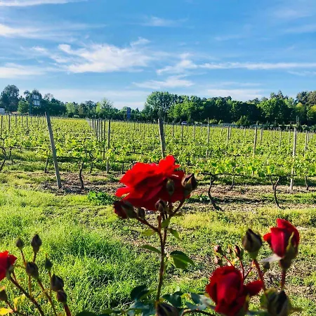 Farm stay Quinta De Maderne Felgueiras