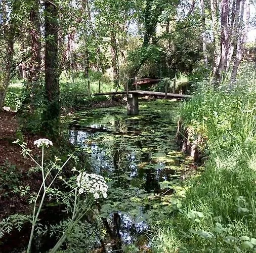 Quinta De Maderne * 费尔格拉斯