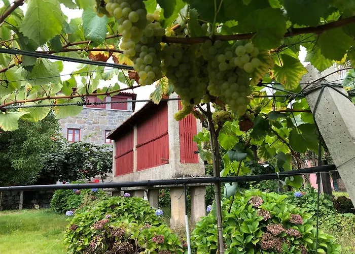 Feriegård Quinta De Maderne Felgueiras