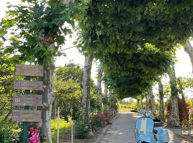 Quinta De Maderne Bauernhof *