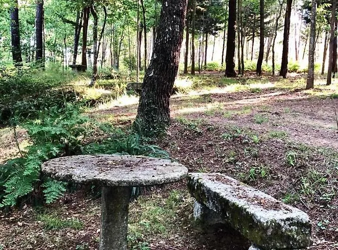 Çiftlik konaklama Quinta De Maderne Felgueiras