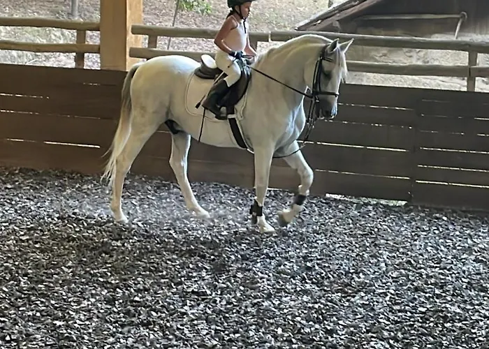 Quinta De Maderne Çiftlik konaklama Felgueiras